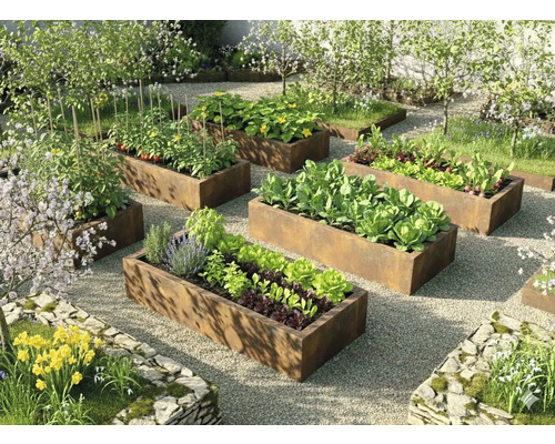 Grădină luminoasă organizată cu straturi înălțate rectangulare din oțel Corten cu legume și ierburi pe pietriș.