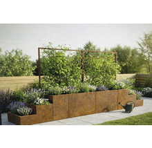 Sistem modular de straturi supraînălțate din oțel Corten cu spaliere, plantat cu plante cățărătoare și flori într-un spațiu exterior.