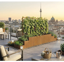 Grădină modernă pe acoperiș cu jardinieră supraetajată din oțel Corten, viță-de-vie pe spalier și panoramă a orașului Berlin la apus.