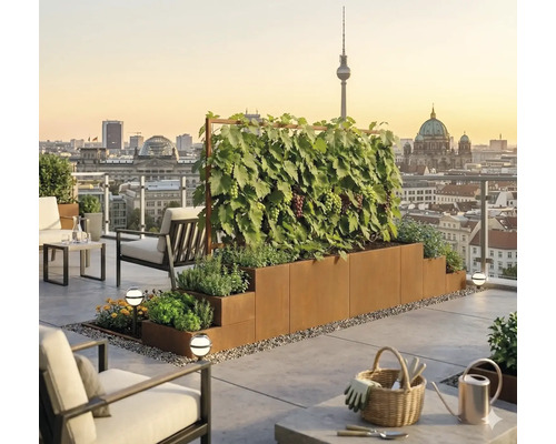 Grădină modernă pe acoperiș cu jardinieră supraetajată din oțel Corten, viță-de-vie pe spalier și panoramă a orașului Berlin la apus.