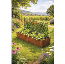 Pat supraelevat dreptunghiular din oțel Corten cu suport pentru plante agățătoare, plantat cu salată și plante urcătoare într-o grădină.