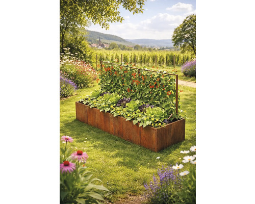Pat supraelevat dreptunghiular din oțel Corten cu suport pentru plante agățătoare, plantat cu salată și plante urcătoare într-o grădină.