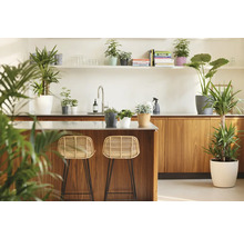 Bucătărie modernă luminoasă cu insulă din lemn, două scaune de bar din ratan și diverse plante de interior în ghivece decorative.