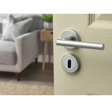 Set de mânere argintii pentru uși cu rozete rotunde pe o ușă din lemn deschis la culoare într-o cameră de zi luminoasă.