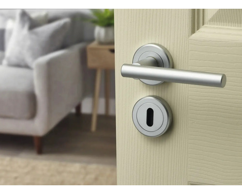 Set de mânere argintii pentru uși cu rozete rotunde pe o ușă din lemn deschis la culoare într-o cameră de zi luminoasă.