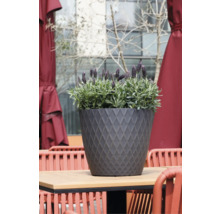 Ghiveci rotund cu model de romburi pe o masă de lemn, plantat cu levănțică, în fundal mobilier de terasă roșu.