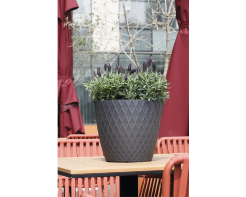 Ghiveci rotund cu model de romburi pe o masă de lemn, plantat cu levănțică, în fundal mobilier de terasă roșu.