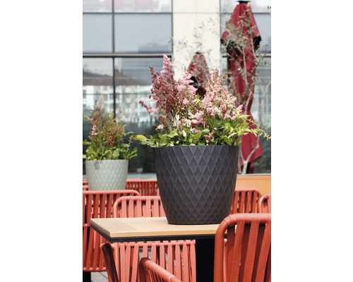 Astilbe într-un ghiveci de flori de culoare antracit cu un model de romburi pe o masă în aer liber.