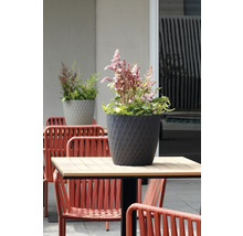 Ghiveci de flori gri închis cu model de romburi și flori roz pe o masă de grădină la exterior.