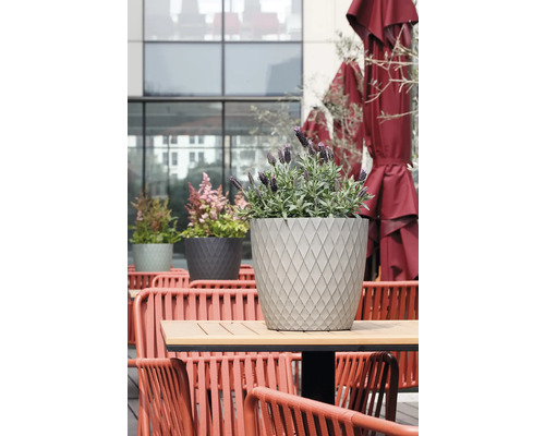 Ghiveci modern cu structură de romburi pe o masă din lemn, plantat cu lavandă, mobilier de terasă și umbrele roșii în fundal.