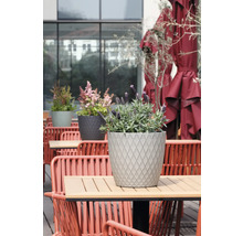 Ghiveci rotund gri cu model de romburi și levănțică pe o masă de terasă modernă din lemn, înconjurat de scaune și umbrele roșii.