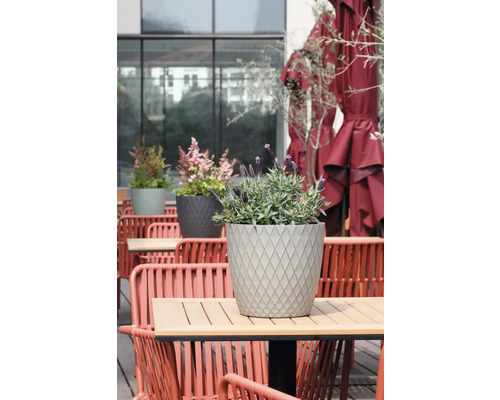 Ghiveci rotund gri cu model de romburi și levănțică pe o masă de terasă modernă din lemn, înconjurat de scaune și umbrele roșii.