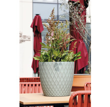 Ghiveci rotund verde deschis cu model cu romburi pe o masă, plantat cu frunze verzi și flori roz.