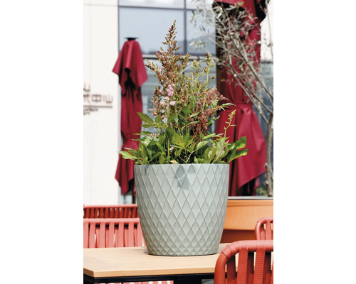 Ghiveci rotund verde deschis cu model cu romburi pe o masă, plantat cu frunze verzi și flori roz.