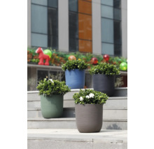 Patru ghivece moderne din plastic cu structură ondulată în culorile verde, albastru, gri și gri-cafeniu pe o scară exterioară.