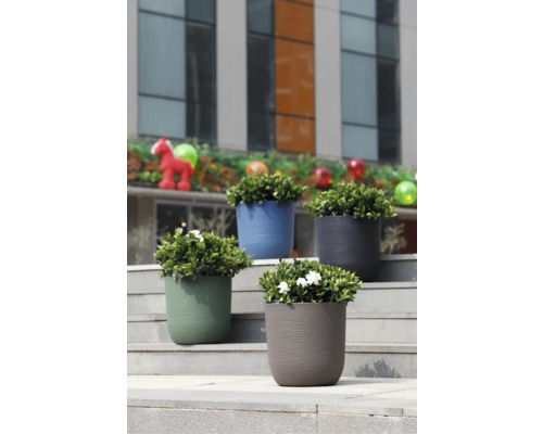 Patru ghivece moderne din plastic cu structură ondulată în culorile verde, albastru, gri și gri-cafeniu pe o scară exterioară.