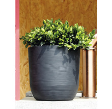 Ghiveci de culoare antracit cu structură ondulată și plantă verde în fața unui perete de lemn.