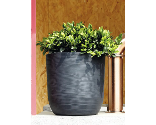 Ghiveci de culoare antracit cu structură ondulată și plantă verde în fața unui perete de lemn.