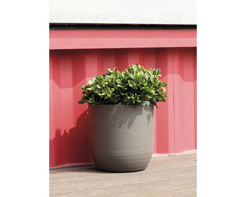 Ghiveci rotund texturat cu o plantă pe o terasă din lemn.