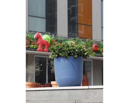 Ghiveci albastru texturat cu o plantă verde pe o margine de piatră în exterior în fața unei clădiri moderne.