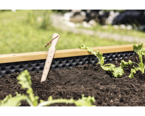 Plantator din lemn cu scală în inci și buclă din piele într-o jardinieră cu pământ și răsaduri tinere de salată.