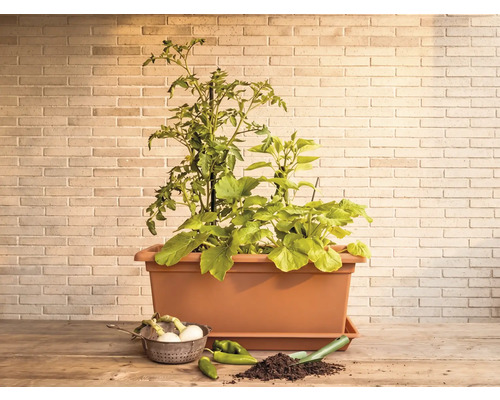 Jardinieră Magnus XXL 100 plastic 98x38 cm teracotă | HORNBACH