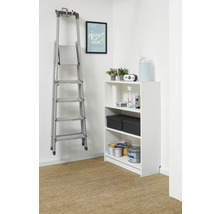 Depozitare organizată cu un raft alb și o scară din aluminiu suspendată pe perete. Raftul conține cutii de vopsea și cutii de depozitare.