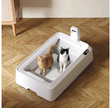 Litieră autonettoyantă PETKIT pe podea din lemn cu model în spic, două pisici în interiorul tăvii deschise din plastic.