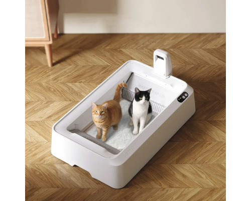 Litieră autonettoyantă PETKIT pe podea din lemn cu model în spic, două pisici în interiorul tăvii deschise din plastic.