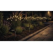 Lămpi solare de grădină cu design de artificii și becuri LED cu lumină albă caldă într-un strat de flori lângă o alee pavată.