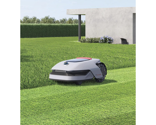 Robot de tuns iarba tunde gazonul într-o grădină cu o casă modernă și gard viu.
