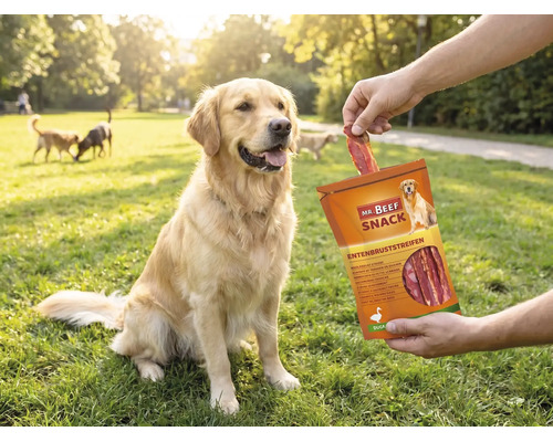 Snack pentru câini MR. BEEF cu piept de rață 90 g