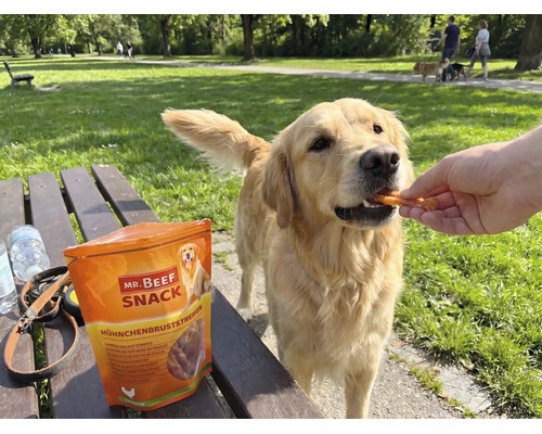Snack pentru câini MR. BEEF cu piept de pui 90 g
