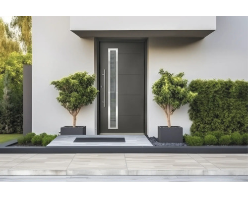 Ușă de intrare modernă antracit cu geam vertical îngust, mâner bară din oțel inoxidabil și două plante la ghiveci într-o intrare luminoasă.