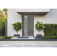 Ușă de intrare modernă cu geam vertical, mâner din oțel inoxidabil și caneluri orizontale într-o zonă de acces luminoasă cu jardiniere și gard viu.
