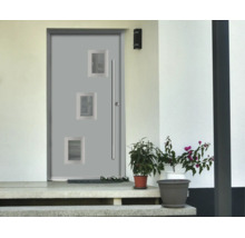 Ușă de intrare modernă din aluminiu cu trei inserții de sticlă și mâner lung într-o zonă de intrare luminoasă cu plante și trepte de piatră.