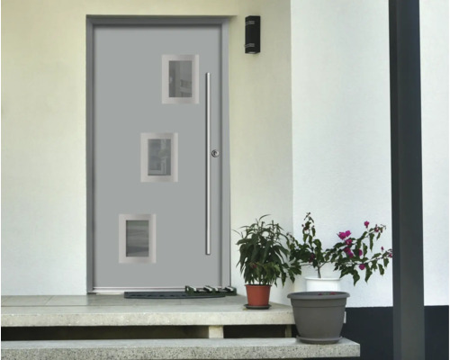Ușă de intrare modernă din aluminiu cu trei inserții de sticlă și mâner lung într-o zonă de intrare luminoasă cu plante și trepte de piatră.