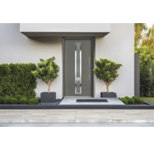 Ușă de intrare modernă de culoare antracit cu geam vertical și mâner lung din oțel inoxidabil într-o intrare minimalistă cu două plante în ghivece.