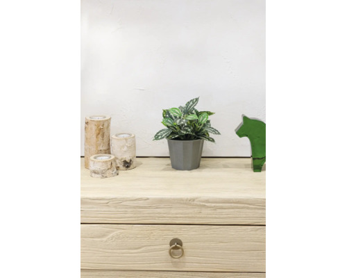 Plantă artificială în ghiveci gri, trei sfeșnice din lemn de mesteacăn și figurină din sticlă verde pe o bufetă din lemn deschis.