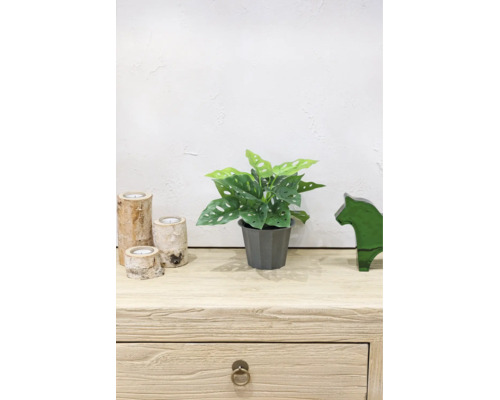 Plantă artificială Monstera adansonii în ghiveci gri pe o comodă din lemn cu suporturi de lumânări din mesteacăn și figurină din sticlă.
