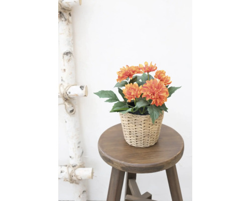 Dalii artificiale portocalii într-un ghiveci împletit pe un taburet din lemn.