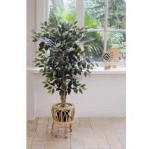 Ficus Benjamina artificial într-un suport decorativ din ratan pentru plante într-o cameră luminoasă cu o fereastră mare.