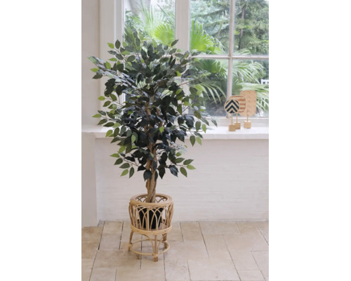 Ficus Benjamina artificial într-un suport decorativ din ratan pentru plante într-o cameră luminoasă cu o fereastră mare.