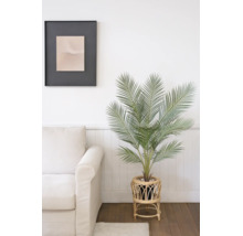 Palmier artificial într-un suport din ratan lângă o canapea deschisă la culoare într-o cameră luminoasă cu podea din lemn.