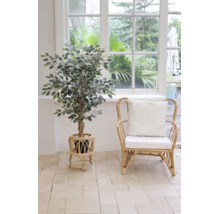 Ficus artificial într-un suport de plante din ratan lângă un fotoliu din ratan cu pernă într-o cameră luminoasă în stil boho.