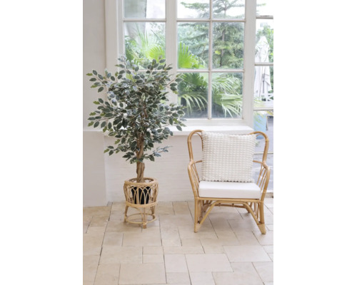 Ficus artificial într-un suport de plante din ratan lângă un fotoliu din ratan cu pernă într-o cameră luminoasă în stil boho.