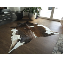 Covor din piele de vacă maro și alb pe podea de lemn într-o sufragerie luminoasă și modernă cu o plantă mare.