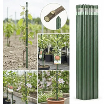 Tutori verzi pentru plante din metal învelit în plastic, prezentați în mănunchi și ca suport pentru viță de vie, pomi fructiferi și plante urcătoare.
