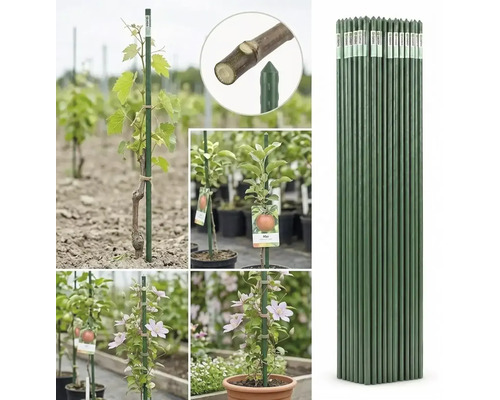 Tutori verzi pentru plante din metal învelit în plastic, prezentați în mănunchi și ca suport pentru viță de vie, pomi fructiferi și plante urcătoare.