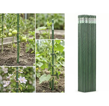 Araci pentru plante pentru susținerea tomatelor, castraveților și florilor în grădină, prezentați în mănunchi și în utilizare la diverse plante.